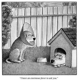 Illustration for article titled New Yorker comics